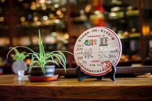 茶叶爆料视频大全集最新,揭秘茶叶界的秘密与传奇  第1张